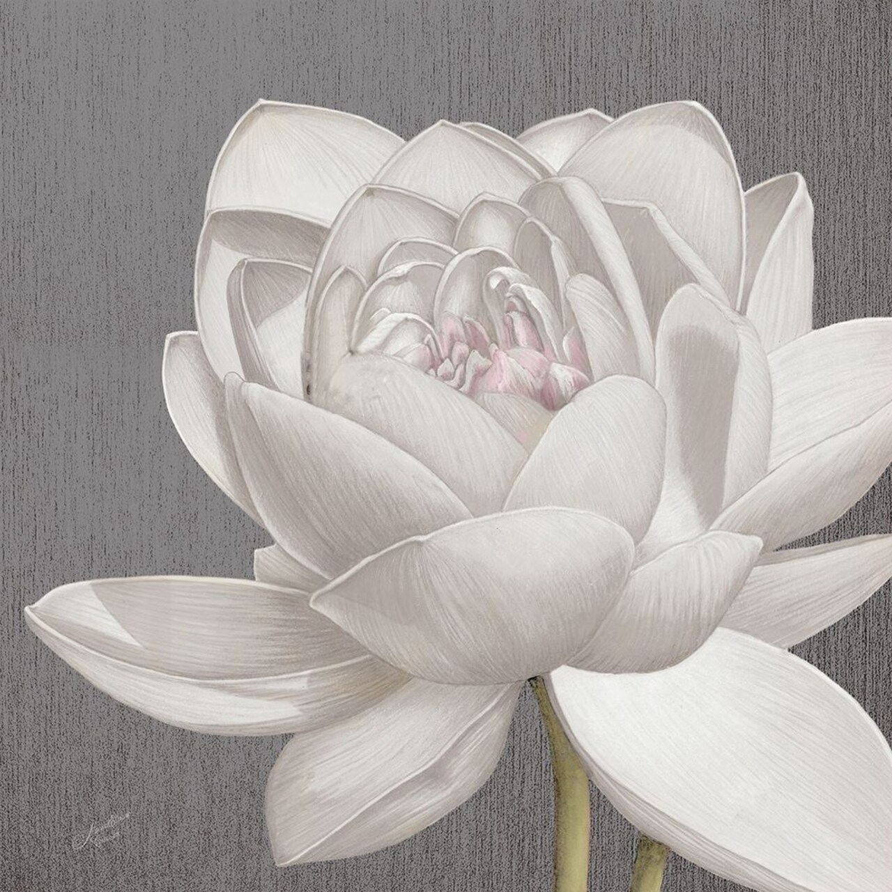 Vintage Lotus on Grey II Poster Print by Marie Elaine Cusson - Item # VARPDXRB13560MC